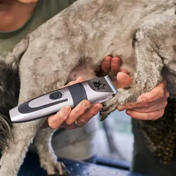 טיפוח הכלב ערכת ראש גוזם מכונת גילוח, עבור הסרת סבוך סט 5 מתכוונן מצבי שיער חשמלי לטפח אספקה עבור חתולים כלבים